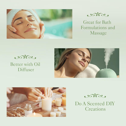 PACK OF 6 Christmas Essential Oil Set