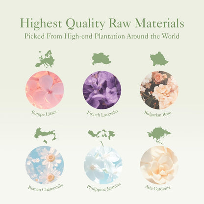 PACK OF 6 Christmas Essential Oil Set