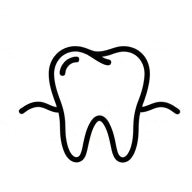 Healthy Gums